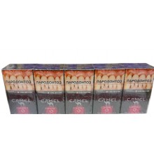 Сигареты Camel Compact Ruby ( Кэмел Компакт Руби Кнопка Ягоды )